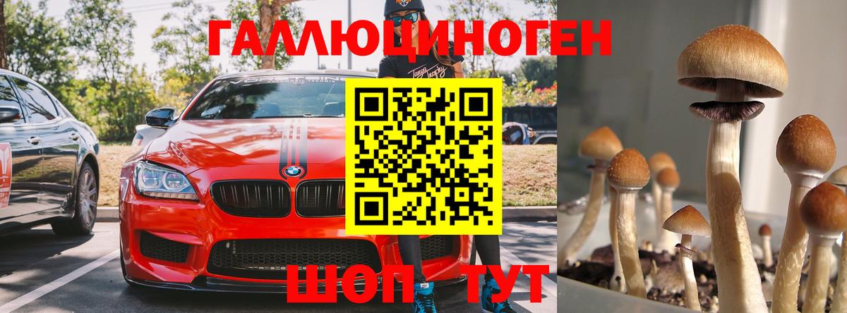 Галлюциногенные грибы прущие грибы  Вход с VPN  Саров 