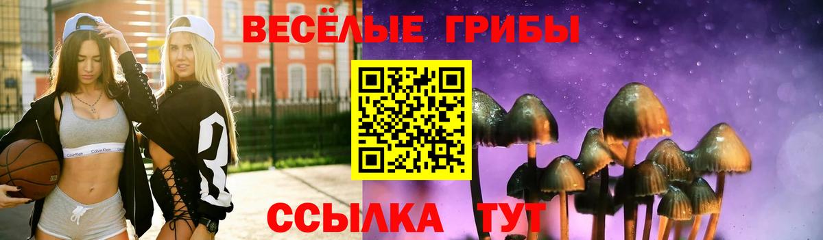 Псилоцибиновые грибы Psilocybine cubensis Саров